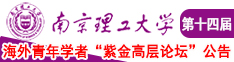 淫荡操逼国产视频南京理工大学第十四届海外青年学者紫金论坛诚邀海内外英才！